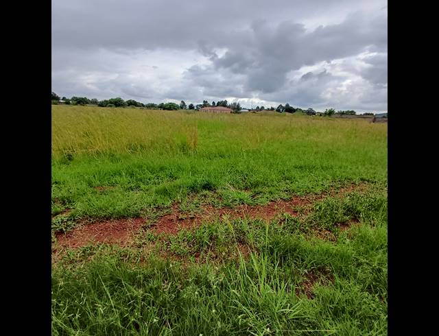 16,170M² VACANT LAND FOR SALE IN KOOKRUS